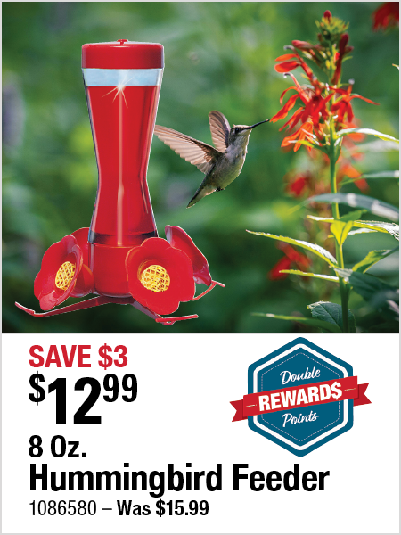 Hummingbird Feeder